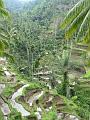 2007 07 17 BALI 0030